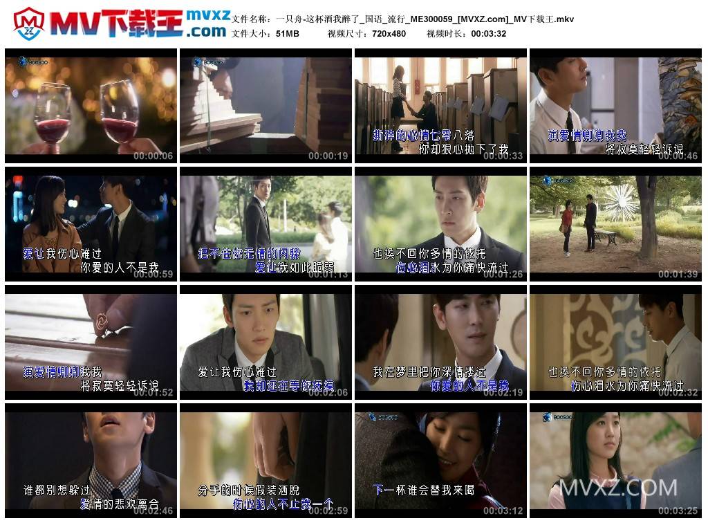 一只舟-这杯酒我醉了_国语_流行_ME300059